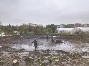 莆田河道鱼塘清淤